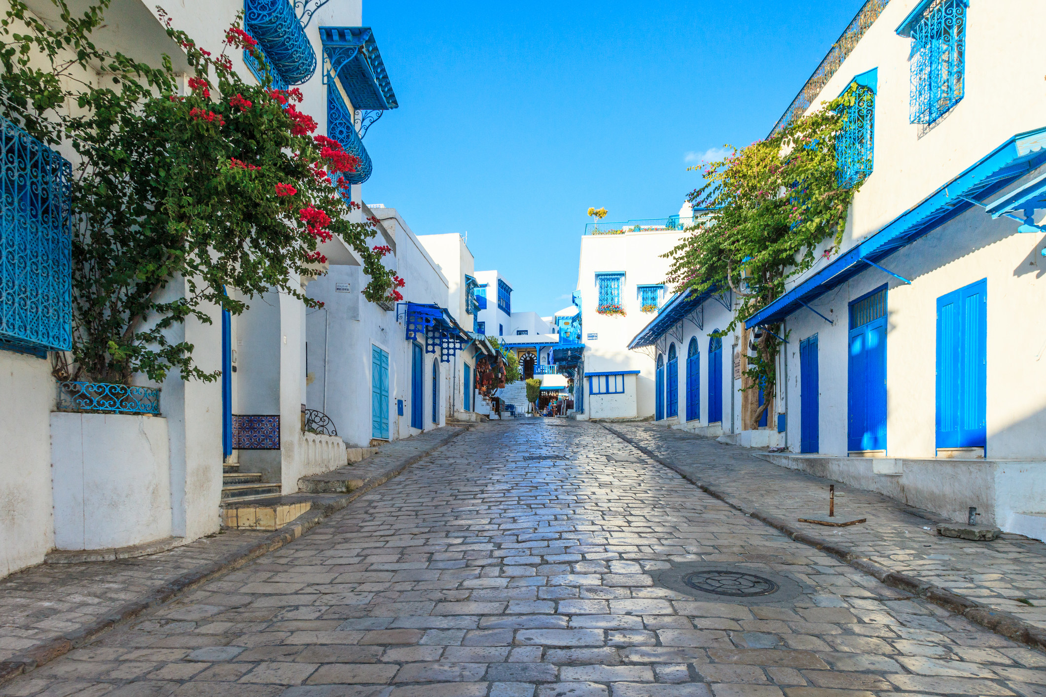 tunisia sidi bou said